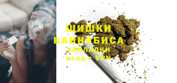 спайс Няндома