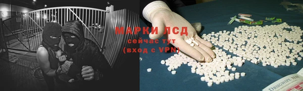 спайс Няндома
