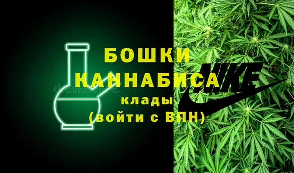 спайс Няндома