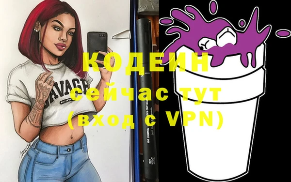 спайс Няндома