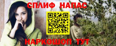 сатива Кингисепп