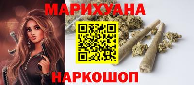 сатива Кингисепп