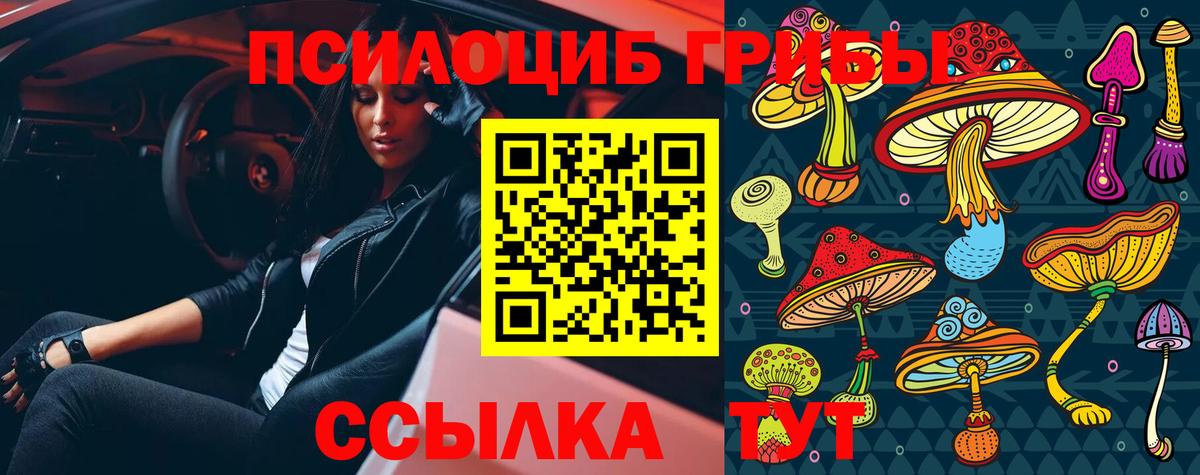купить  цена  Галлюциногенные грибы прущие грибы  Вход с VPN  Нефтекумск 