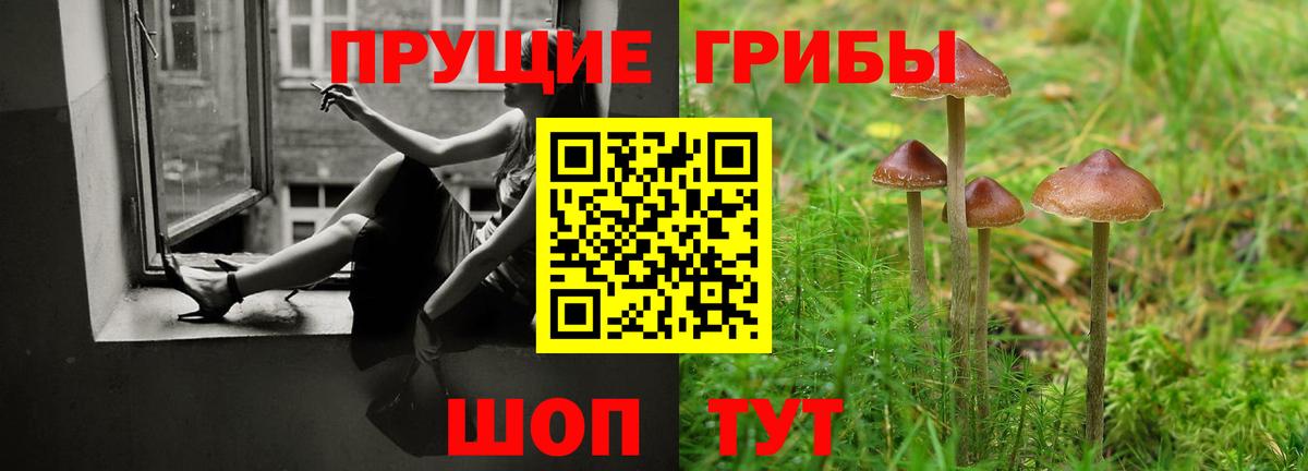 МЕТАДОН Нефтекумск