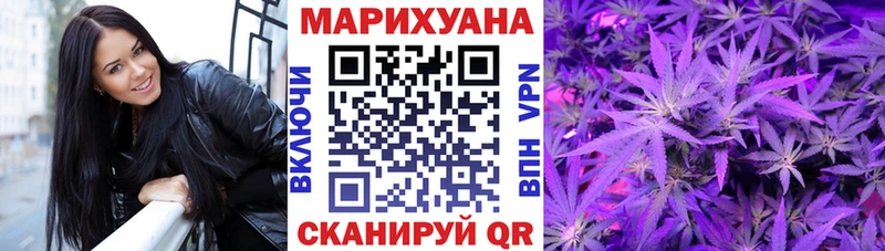 Канабис сатива Нефтекумск